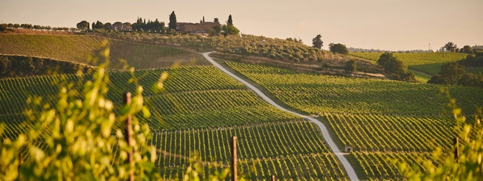 Gay Tours & Excursions in Italy: Tuscany
